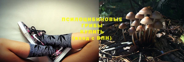 ГАЛЛЮЦИНОГЕННЫЕ ГРИБЫ Белокуриха