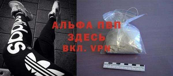ГАЛЛЮЦИНОГЕННЫЕ ГРИБЫ Белокуриха