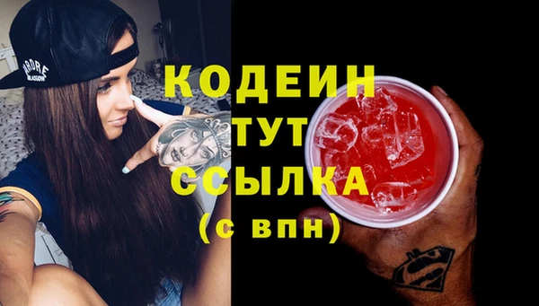 ГАЛЛЮЦИНОГЕННЫЕ ГРИБЫ Белокуриха
